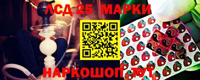 spice Бийск