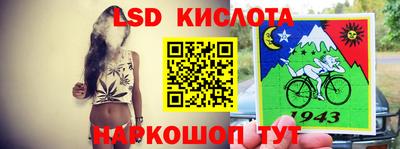 spice Бийск