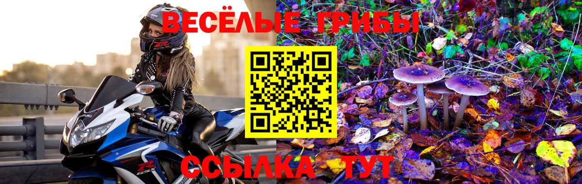 Галлюциногенные грибы мицелий Знаменск
